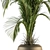 Tropical Bliss: Indoor Plant Set 3D model small image 2