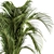 Tropical Bliss: Indoor Plant Set 3D model small image 3