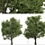 Silver Linden Tree Set (2 Trees) 3D model small image 5