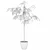 Exquisite Ficus Ali Plant - 3D Model 3D model small image 4