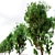 Classic Cypress Tree - 16m 3D model small image 3