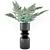 Elegant Fern Vase Bouquet 3D model small image 1