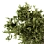 Green Oasis: Indoor Plant Set 127 3D model small image 4