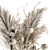 Papavet and Palm Dry Plants 3D model small image 2