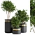 Elegant Indoor Plant 05 3D model small image 1