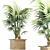 Exquisite 165 Arabian Palm Set 3D model small image 1