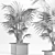 Exquisite 165 Arabian Palm Set 3D model small image 5