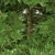 Evergreen Spruce Tree - 3D Model 3D model small image 2