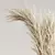 Dried Pampas in Elegant Vases 3D model small image 3