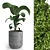 Natural Greenery: Indoor Plant 06 3D model small image 2