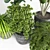 Natural Greenery: Indoor Plant 06 3D model small image 3