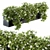 Ivy White Outdoor Plants - Set 149 3D model small image 1