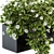 Ivy White Outdoor Plants - Set 149 3D model small image 2