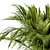 Tropical Paradise Plant Set 3D model small image 4