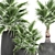 Exotic Palm Plant Collection 3D model small image 4