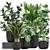 Exotic Plant Collection: Indoor & Outdoor Varieties 3D model small image 1