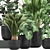 Exotic Plant Collection: Indoor & Outdoor Varieties 3D model small image 2