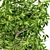 Designer9799 Bushes Design 3D model small image 2