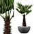 Tropical Plants Collection 083 3D model small image 5