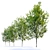 American Beech Tree: Height 12m 3D model small image 3