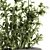 138 Piece Indoor Ficus Plants Set 3D model small image 4