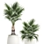 Exotic Palm Collection 3D model small image 3