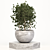 Versatile Plant Collection: Ideal for Indoor and Outdoor Use 3D model small image 1