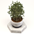 Versatile Plant Collection: Ideal for Indoor and Outdoor Use 3D model small image 2