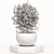 Versatile Plant Collection: Ideal for Indoor and Outdoor Use 3D model small image 3