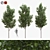 American Linden Trees Set 3D model small image 1