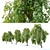 Pair of Petite Weeping Trees 3D model small image 4