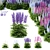 Hybrid Delphinium Flowers Impressive Collection 3D model small image 1