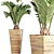 Tropical Oasis: Palm Collection 3D model small image 1