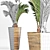 Tropical Oasis: Palm Collection 3D model small image 3