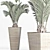 Tropical Oasis: Palm Collection 3D model small image 4