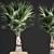 Exotic Palm Plant Collection in Rattan Basket 3D model small image 2