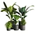 Greenery Delight: Indoor Plant 09 3D model small image 1