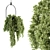 Lush Greenery Hanging Plant Set 3D model small image 1