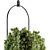Lush Greenery Hanging Plant Set 3D model small image 2