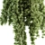 Lush Greenery Hanging Plant Set 3D model small image 3