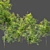 Mighty Oak Saplings Bundle 3D model small image 3