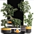 Exotic Mini Bonsai Collection: Sageretia Theezans 3D model small image 2