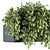 Lush Ivy Indoor Set - 160 3D model small image 4