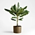 Tropical Joy: Banana Palm in Pot 3D model small image 1