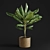 Tropical Joy: Banana Palm in Pot 3D model small image 4