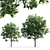 Versatile Ash Wood: 10m - 7.3m 3D model small image 5