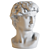 Detailed Polyresin David Bust 3D model small image 2