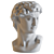 Detailed Polyresin David Bust 3D model small image 3