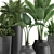 Exotic Plant Collection | Banana Palm, Ravenala, Strelitzia | Black Pots 3D model small image 4