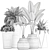 Exotic Plant Collection | Banana Palm, Ravenala, Strelitzia | Black Pots 3D model small image 5